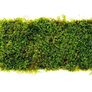 Christmas Moss on Fiber Mat