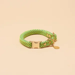 Saimin Flat Rope Collar - Neon Green
