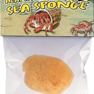 Zoo Med Laboratories Hermit Crab Sea Sponge