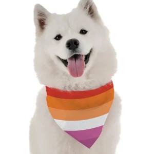 BanDoggie Lesbian Pride Dog Bandana - Soft Microfiber, USA Made