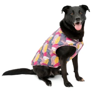 Loft Dog Jacket