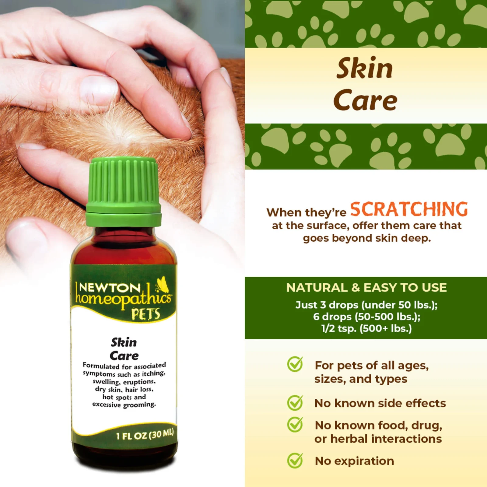 Newton Homeopathics Skin Care - Image 2