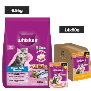 Whiskas Kitten Cat Food Combo |Ocean Fish Dry & Chicken with Salmon in Jelly in Gravy Wet