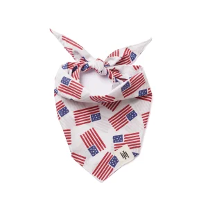 American Flag Bandana