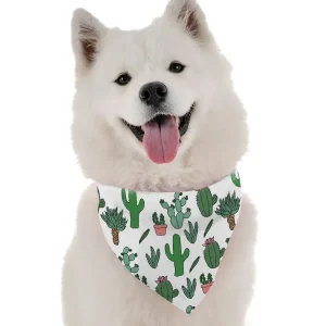 BanDoggie Cutsie Cactus Dog Bandana