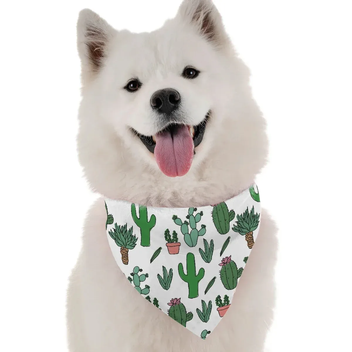BanDoggie Cutsie Cactus Dog Bandana
