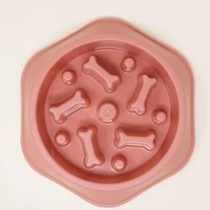 SLOW FEEDER BOWL