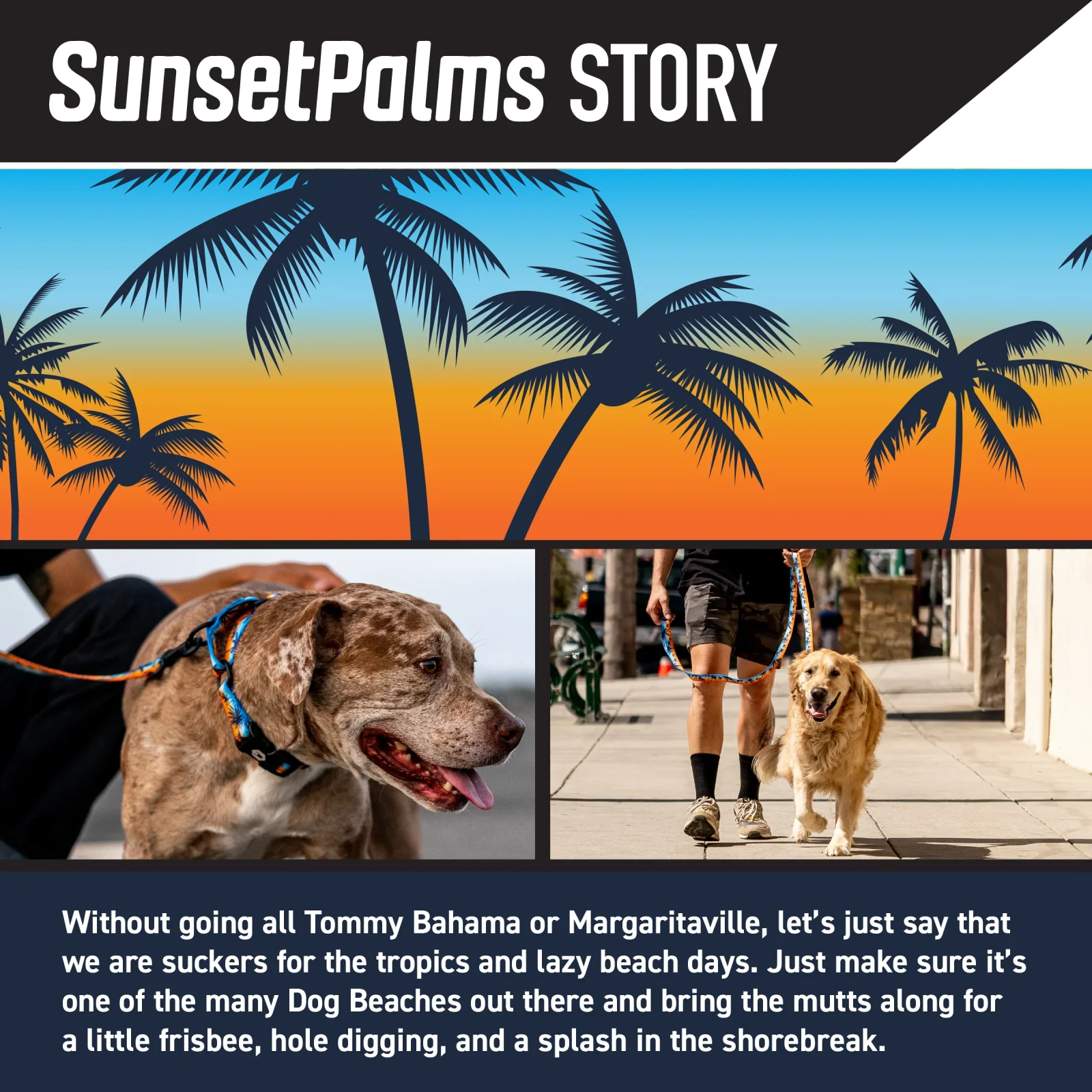 SunsetPalms Martingale Dog Collar - Image 2