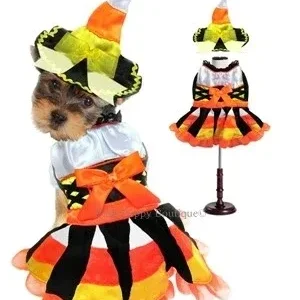 Candy Corn Witch Costume