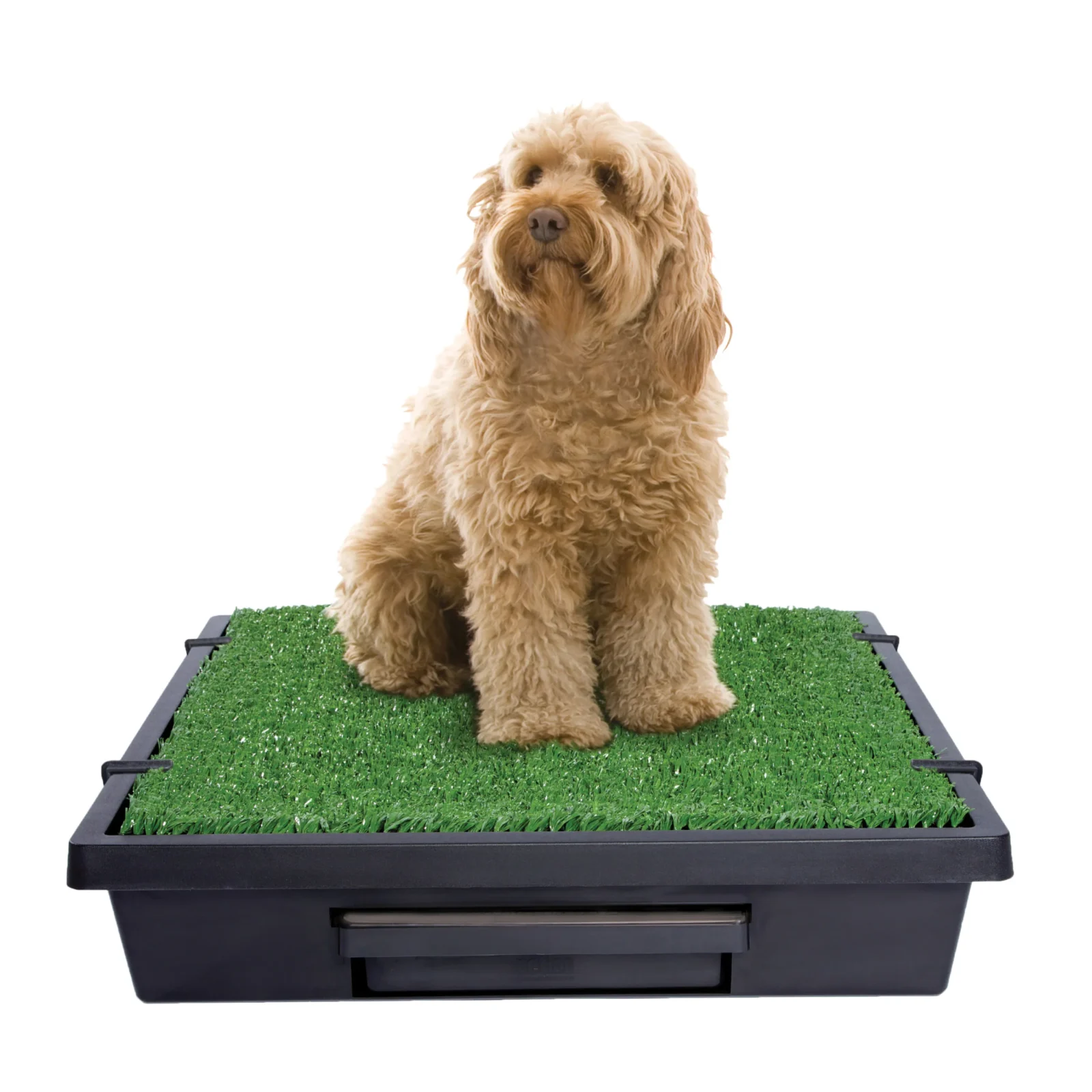 Pet Loo™ Pet Toilet - Image 2