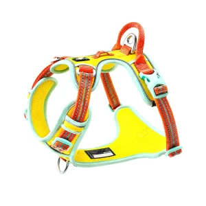 Truelove No Pull Cordura Harness for Dogs (Blazing Yellow)