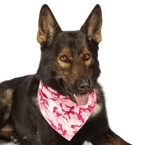 AR Camo Bandana Pink