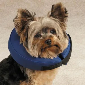 Total Pet Health Inflatable Dog Collar