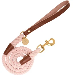 PoisePup Dog Leash - Premium Durable Pet Walking Lead