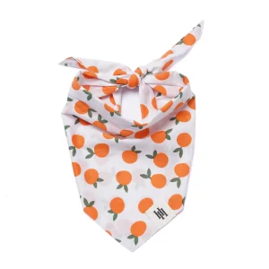 Clementine Dog Bandana