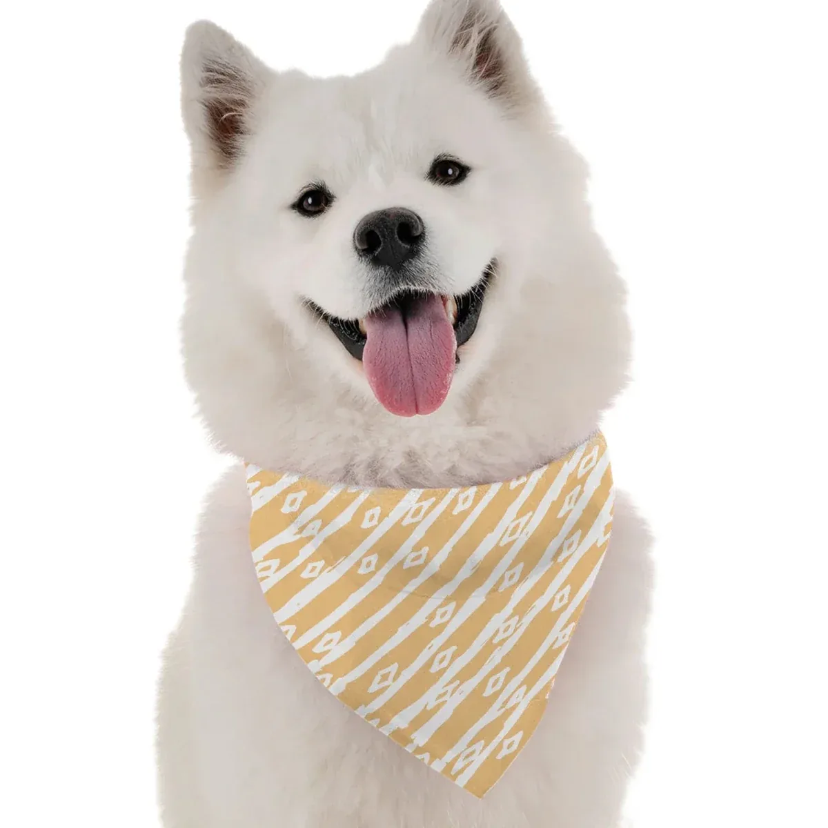 BanDoggie June Dog Bandana - Image 2