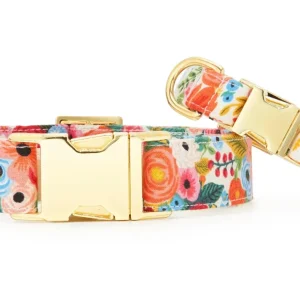 Garden Party Dog Collar