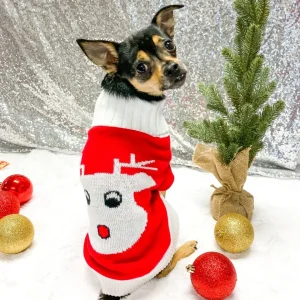 Combed Cotton Red Rudolph Holiday Dog Sweater