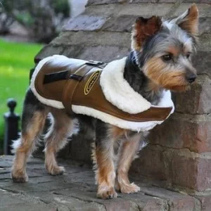 Brown and Black Faux Leather Bomber Dog Coat Harness