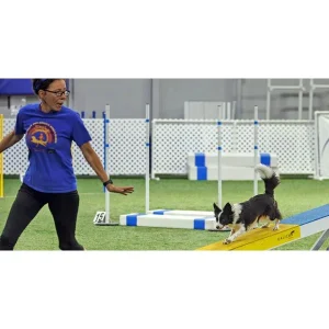 Clean Run Engagement Under Pressure - Building Focus, Recovery & Connection