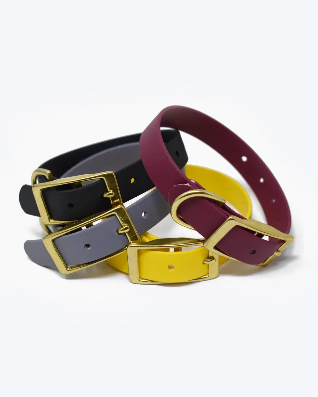 CLASSIC BRASS DOG COLLAR - Image 2