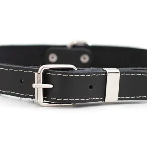 Black Traditional Buckle Leather Collar