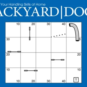 Clean Run Backyard Dogs Episode 1: Discriminations & Weave Poles