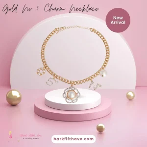 Gold No 5 Charm Necklace
