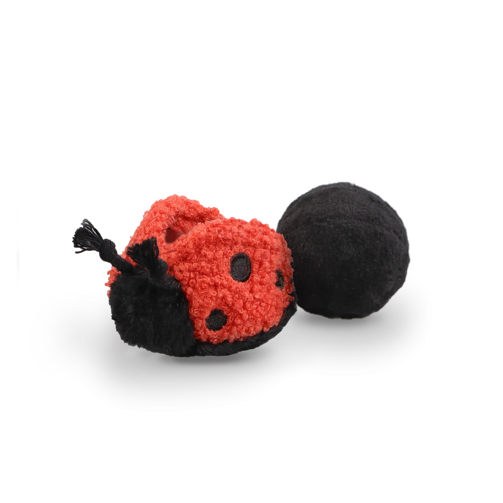 LADYBUG POP