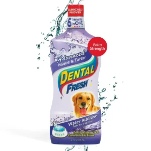 Synergy Labs Dental Fresh Advanced Plaque and Tartar Control Oral Health Cat and Dog Water Additive