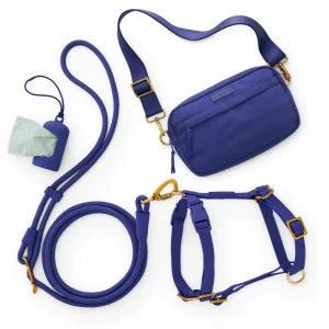 Active Adventure Harness Walk Set (XS/S), Azure