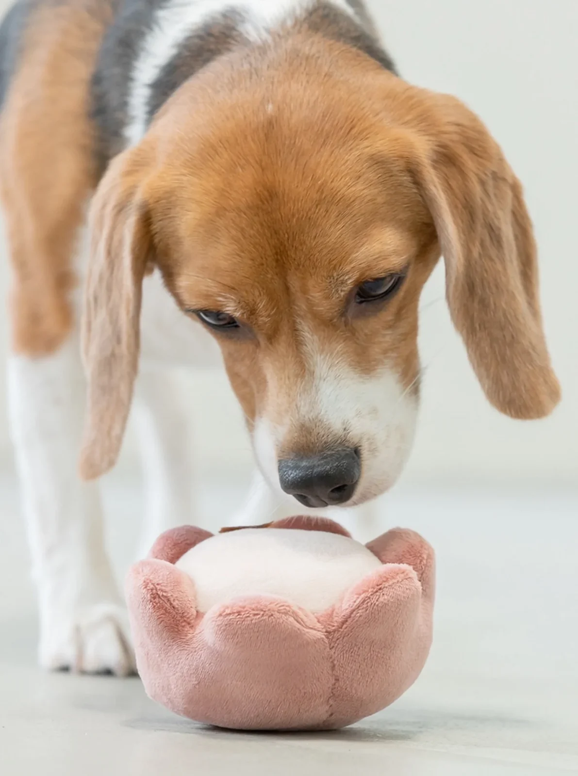 PLUSH FLOWER DOG TOY - Image 2