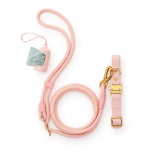 Active Everyday Collar Walk Set, Shell