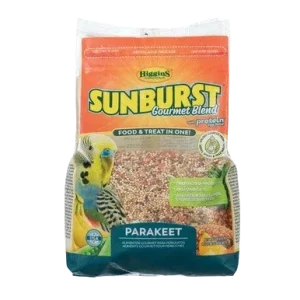Sunburst Parakeet