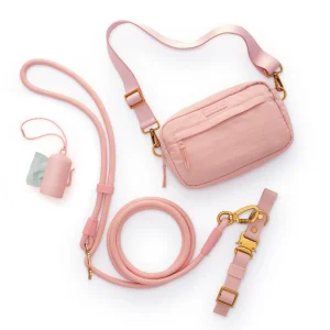 Active Adventure Collar Walk Set, Shell