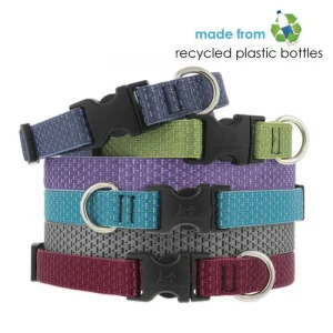 Eco Dog Collar