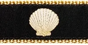 Scallop Shells on Black