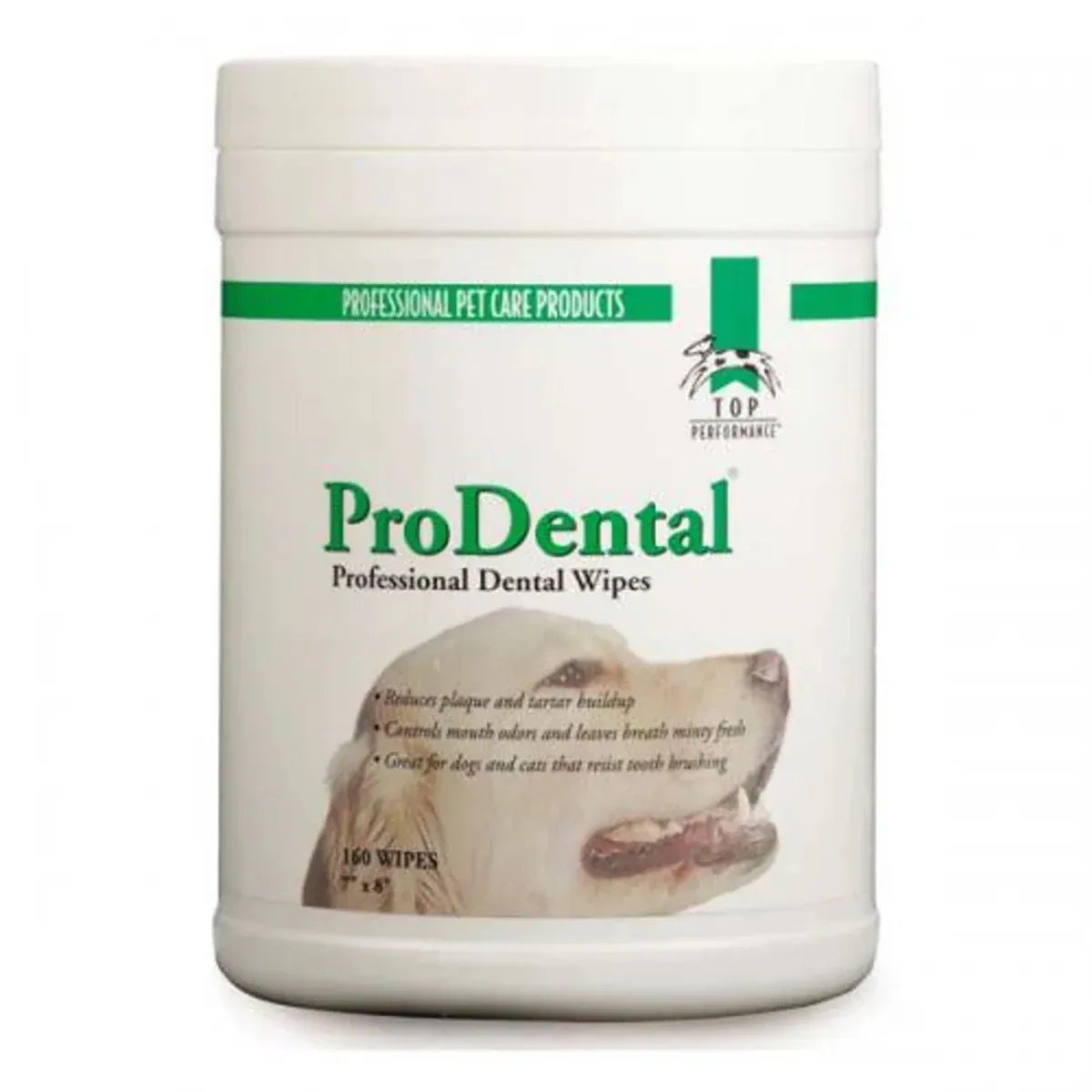 TP Dental Wipe Canister, 160-Count