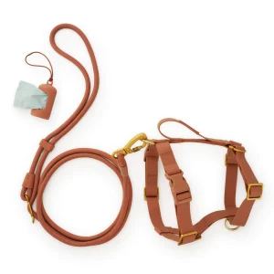 Active Everyday Harness Walk Set - With Handle (M/L), Saddle