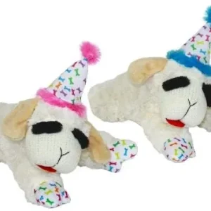 Birthday Hat Lamb Chop - Assorted Colors