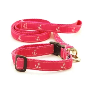 Anchor on Pink