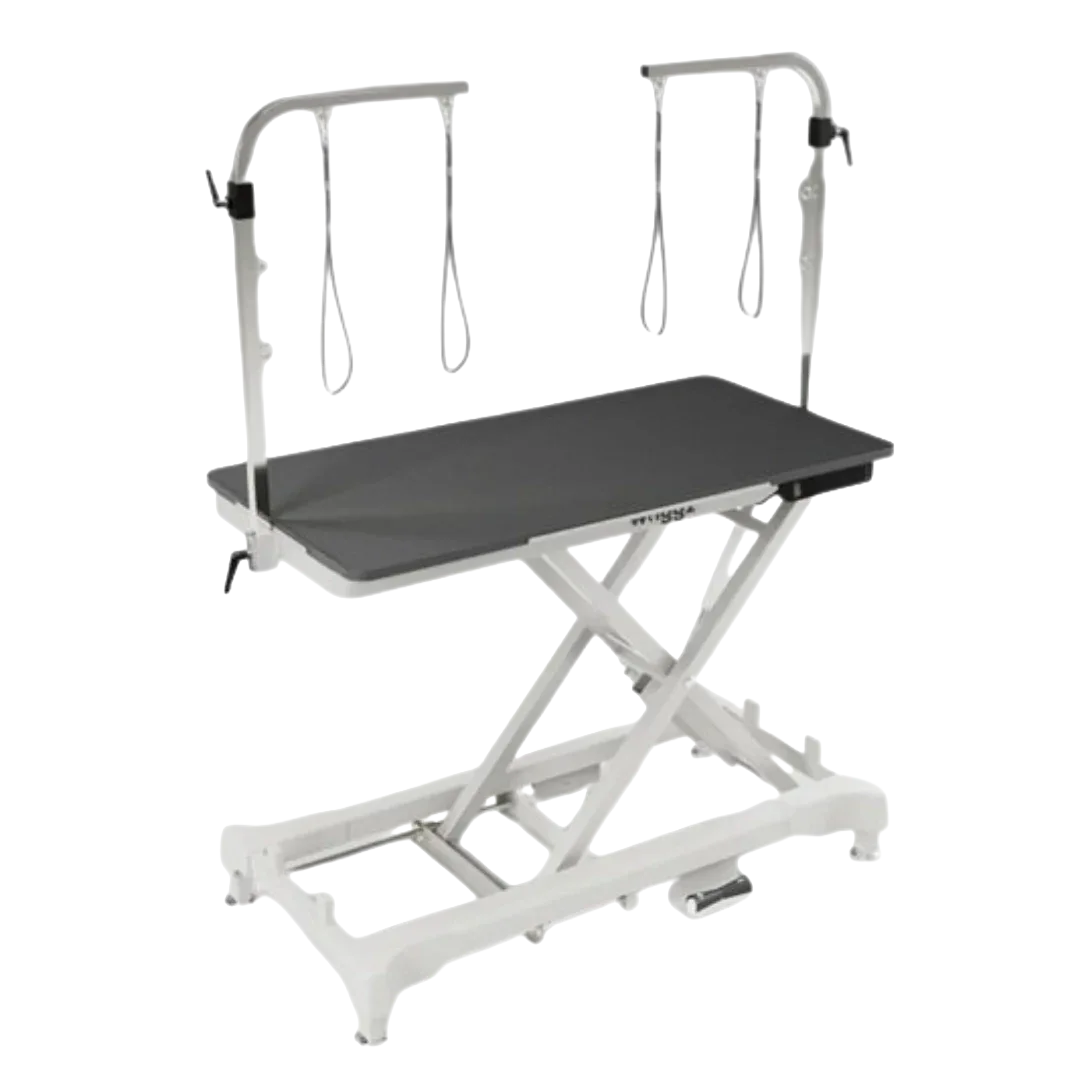 52" Dog Grooming 999 Electric Table without Drawer by Waggz
