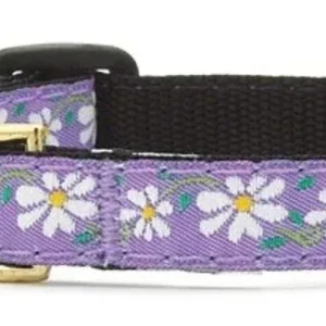 Up Country Daisy Cat Collar