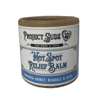 Project Sudz