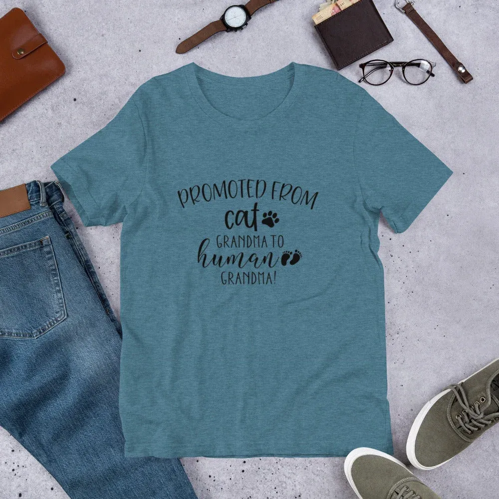 Promoted from Cat Grandma to Human Grandma T - Image 2