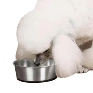 ProSelect Stainless Steel Dog Bowl with Rubber Base, 88 oz