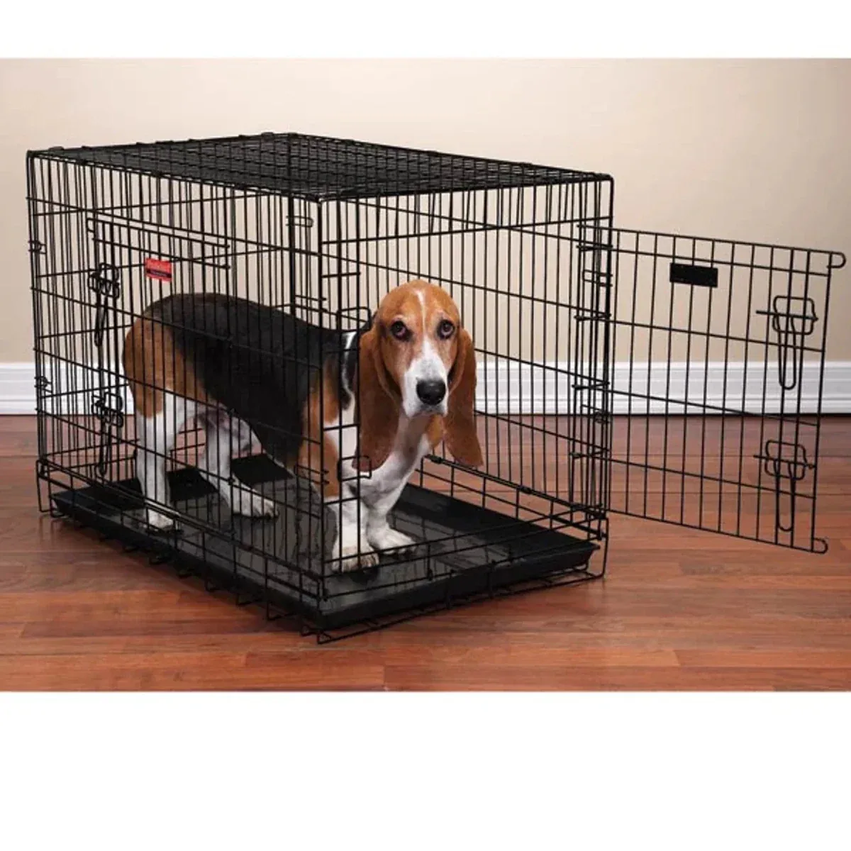 PS Everlast Crate with Dual Doors Medium/Large - Image 2