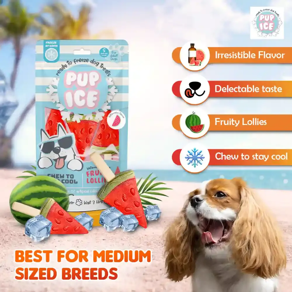 Pup Ice Watermelon Flavoured Fruity Lollies Dog Treat - Image 2