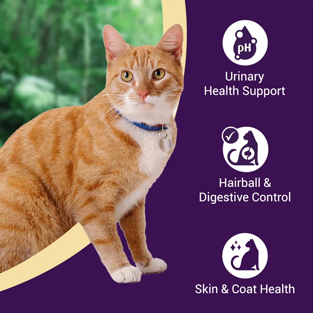 Purrfeto Chicken and Salmon Adult Cat Dry Food - Image 2