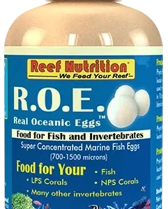 R.O.E. - Real Oceanic Eggs